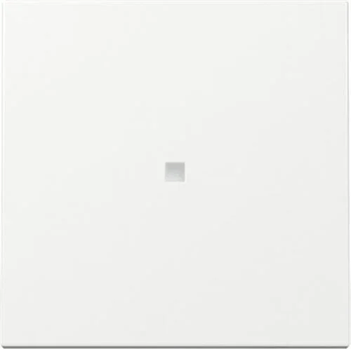 Wippe Kontrollf. System 55 Reinweiß