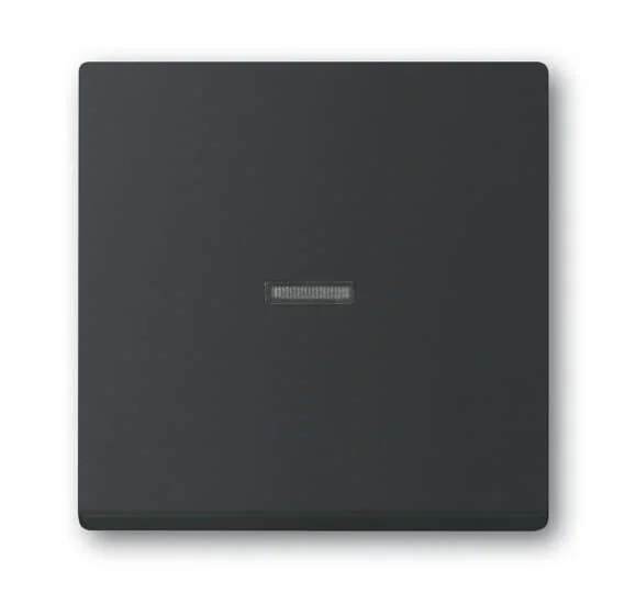 Wippe Kontrollf Transp 1789 N-885