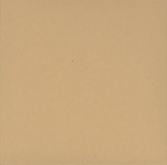 Zahna Unifarben Creme Fliese 20×20/1,5 R9 Art.-Nr. 415201001.01