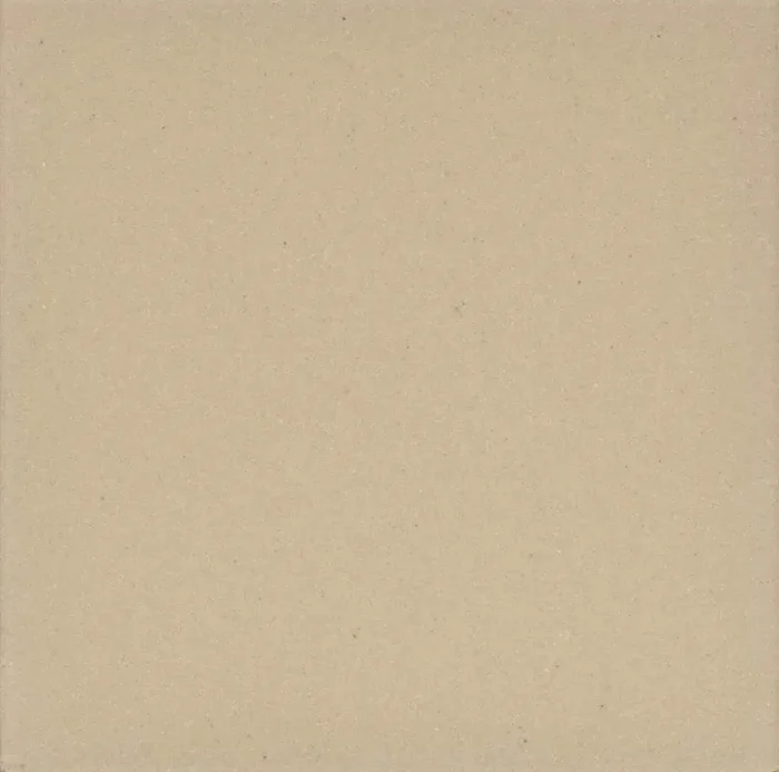 Zahna Unifarben Lichtgrau Uni Fliese 20×20/1,1 R10 Art.-Nr. 411200001.05