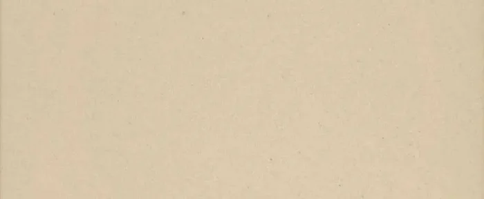 Zahna Unifarben Weiss Uni Matt Sockelfliese 17×7 Art.-Nr. 911777110.16