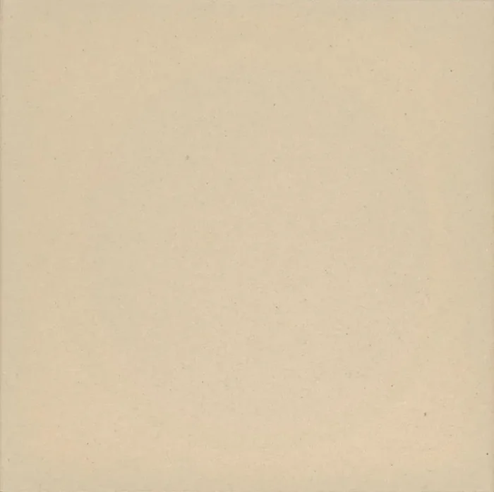 Zahna Unifarben Weiss Uni,Vergütet Fliese 30×30 R10 Art.-Nr. 411307001.16