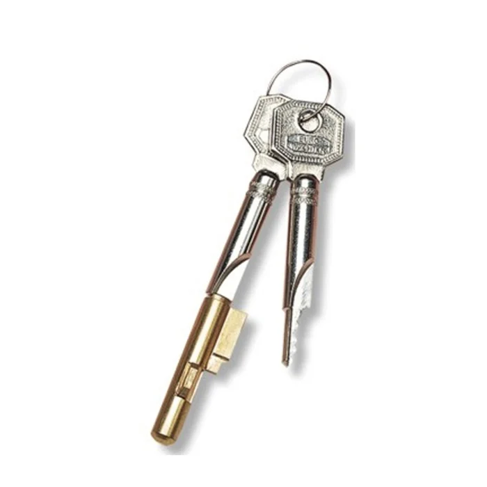 Zylinder-Schlüssellochsperrer von Burg-Wächter